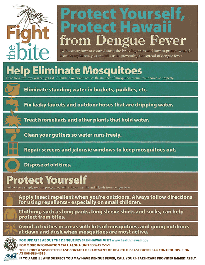 Hi-doh-fight-the-bite-info-flyer-dengue-fever