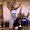 13-thumb
