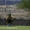 20-thumb