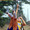 16-thumb