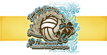2011_volleyball